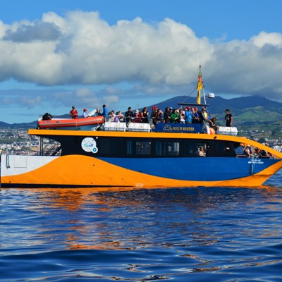 Bootexcursie om walvissen en dolfijnen te spotten op zee, met passagiers aan dek en kust op de achtergrond.