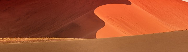 Rode zandduin in Sossusvlei, Namibië, met een eenzame dode boom in de voorgrond.