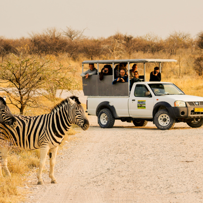 Safari met 22-35ers groepsrondreis Zuidelijk Afrika: zebra’s langs de weg en jeepsafari met reizigers.