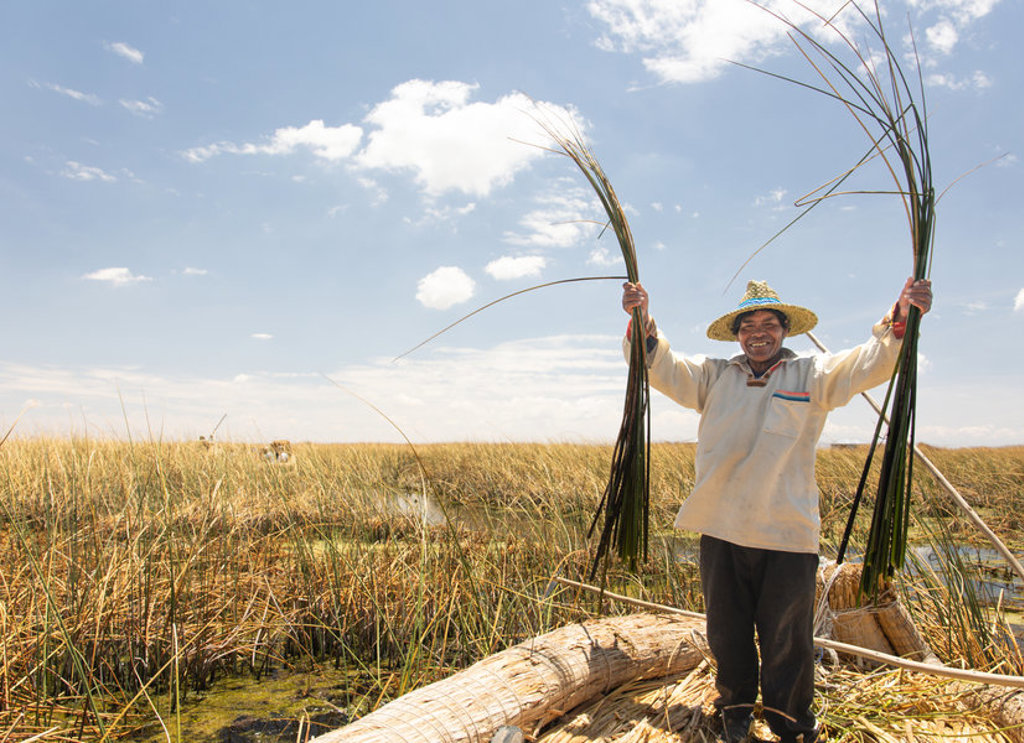 Man op rieten boot op het Titicacameer in Peru, met bundels riet in de hand.