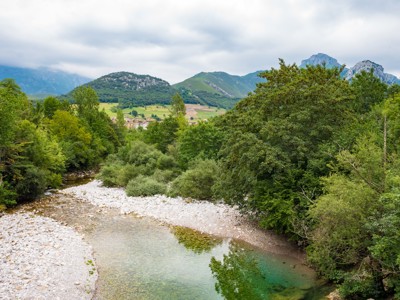 Groene vallei met heldere rivier en bergen in de Picos de Europa, Spanje.
