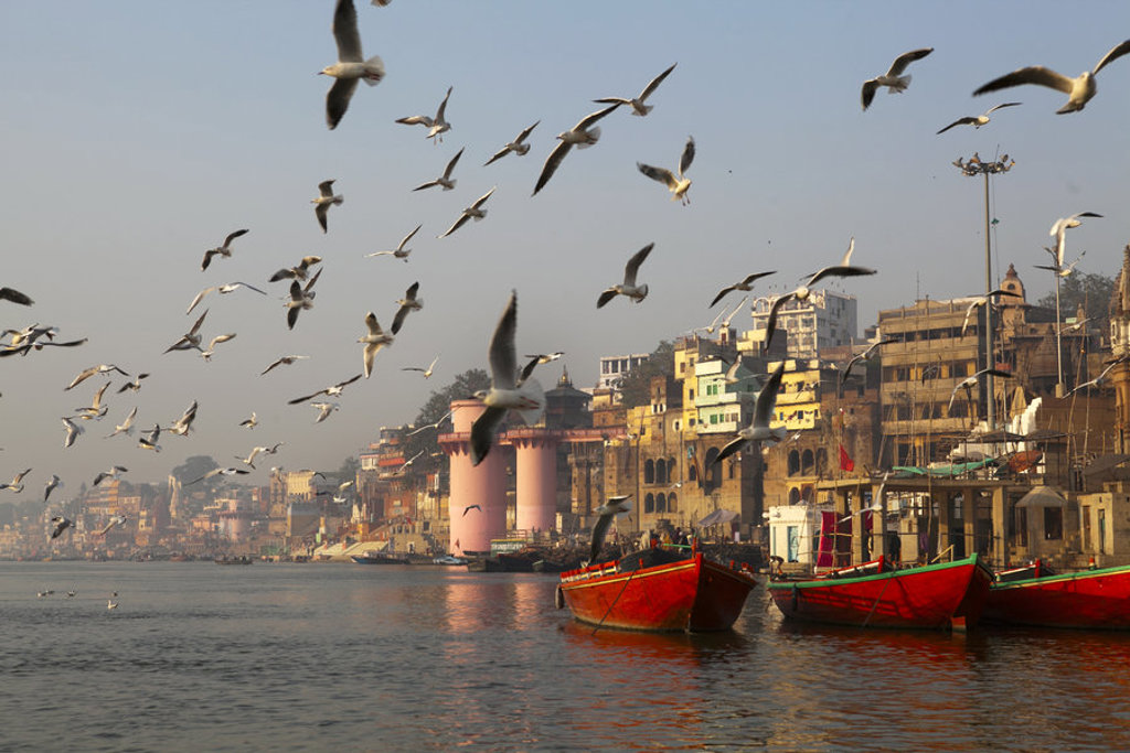 Rode boten op de Ganges in Varanasi met zwermen meeuwen en ghats langs de oever, Noord-India.