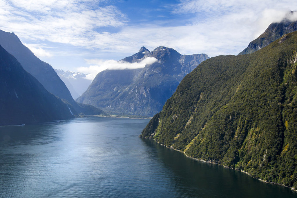 Fiord met steile, groene bergen en rustig water in Nieuw-Zeeland tijdens een groepsrondreis.
