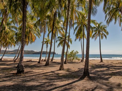 Palmbomen op het zandstrand aan de kust van Costa Rica.
