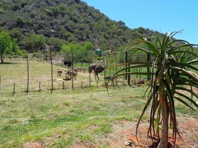 De oude Meul Country Lodge