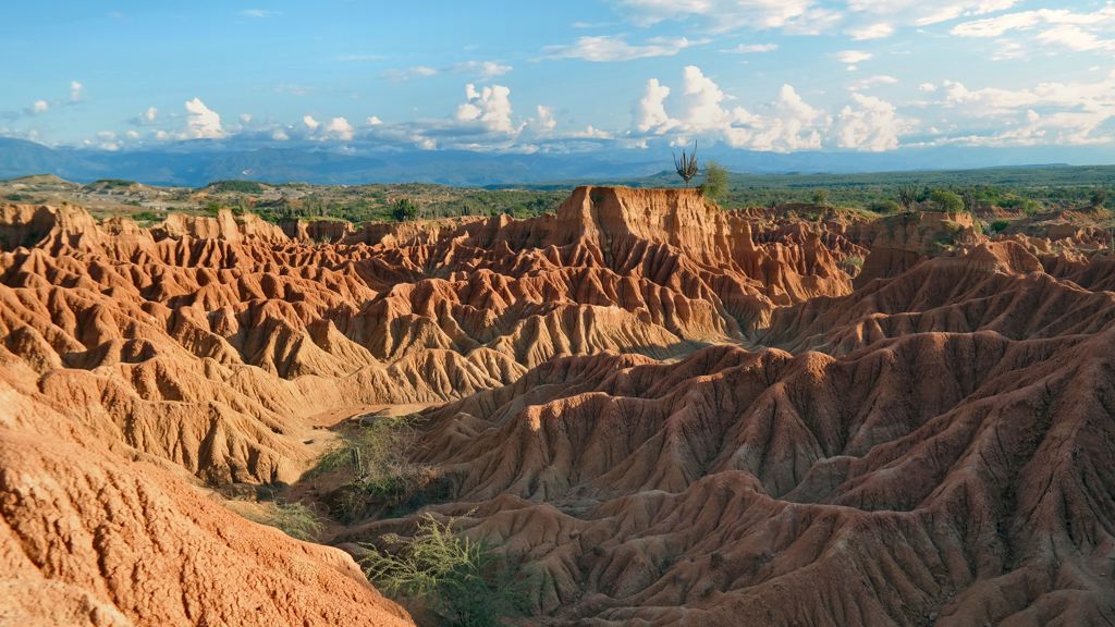Zonovergoten rotslandschap met grillige canyons tijdens een familiereis door Colombia.