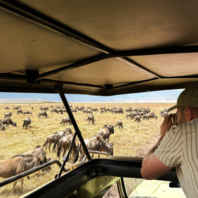 Safari in Kenia & Tanzania: reiziger in jeep bekijkt een grote kudde gnoes op de savanne.