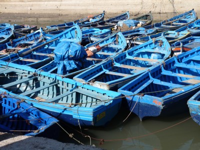 Blauwe vissersbootjes in de haven van Essaouira, Route Marokko.