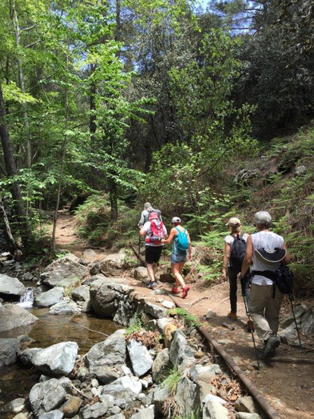 Uitzicht op groene heuvels en bomen tijdens een wandelvakantie op Cyprus.