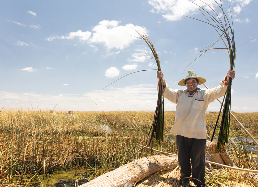 Man op rieten boot op het Titicacameer in Peru, met bundels riet in zijn handen.
