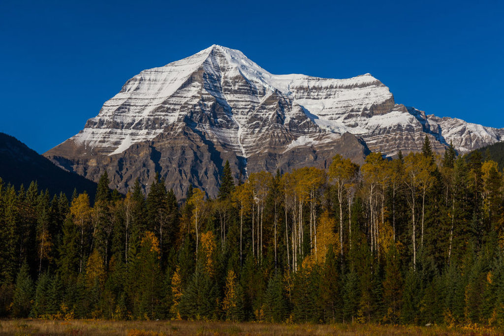 Besneeuwde bergtop in de Canadese Rockies boven een herfstbos tijdens de groepsrondreis Canada West Hoogtepunten.