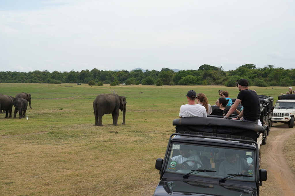 Safari met jeeps en olifanten in een nationaal park tijdens een 22-35ers reis in Sri Lanka.