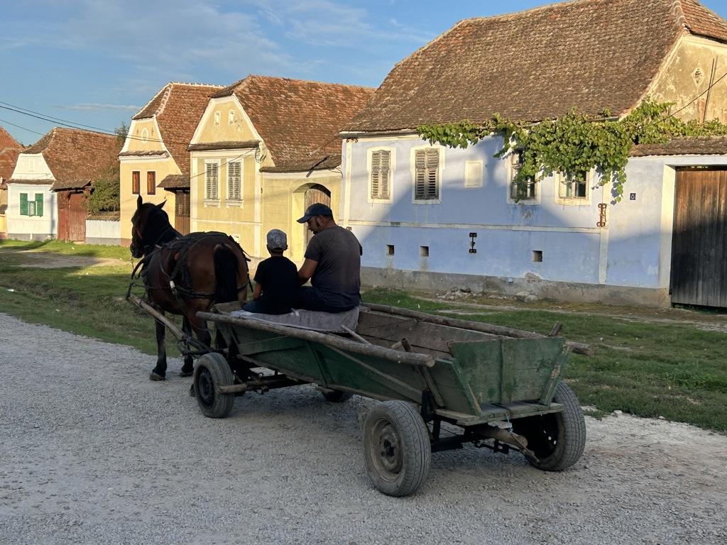 Paardenkar met twee passagiers in een Roemeens dorp met kleurrijke huizen tijdens groepsrondreis Roemenië.