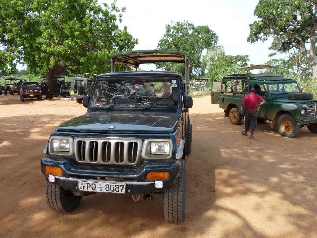 Safari-jeeps in Sri Lanka klaar voor een jeeptour tijdens de groepsrondreis Sri Lanka Hoogtepunten.