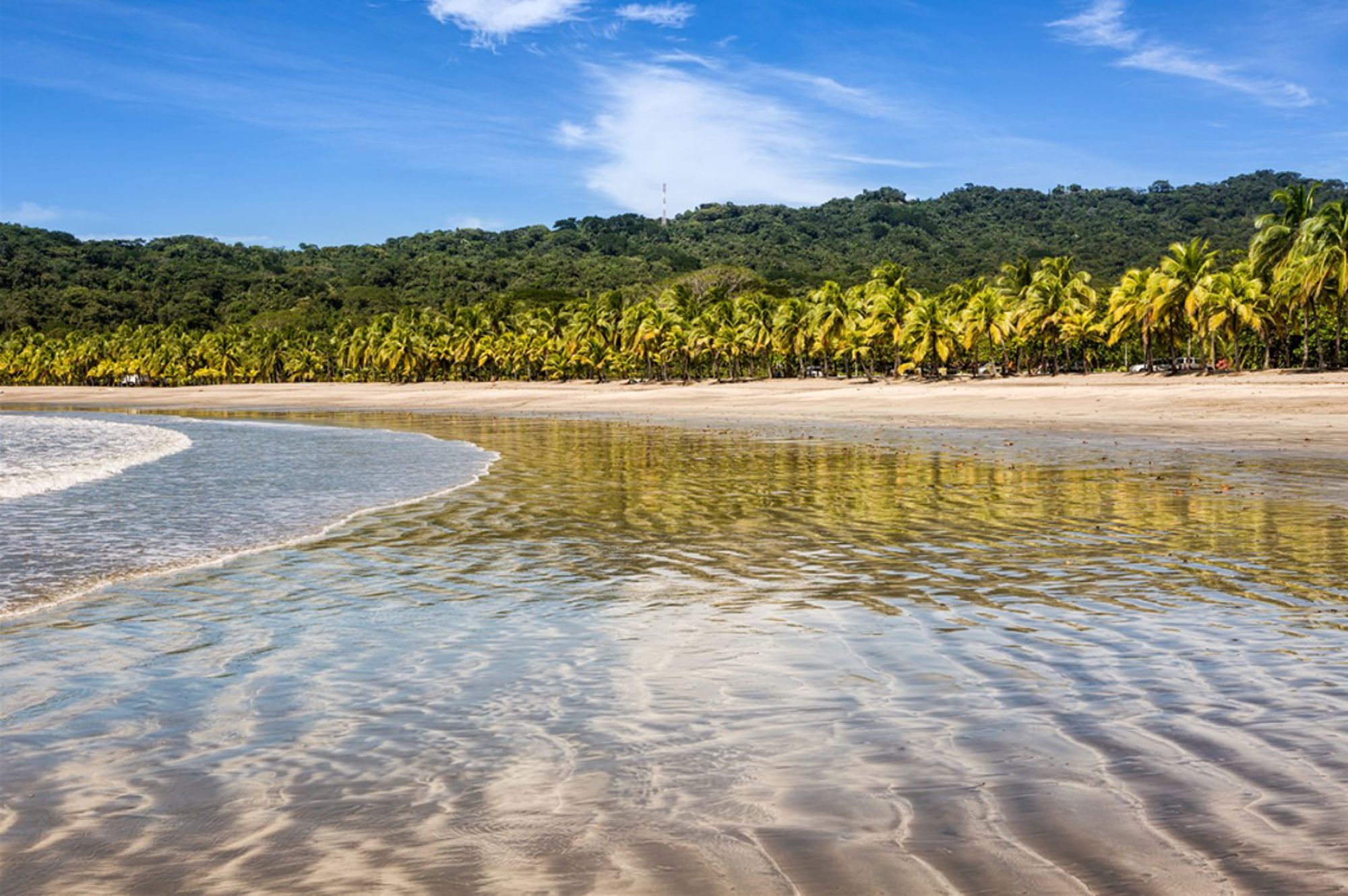 Palmenstrand aan de kust van Costa Rica met rustig zeewater en groene heuvels op de achtergrond.