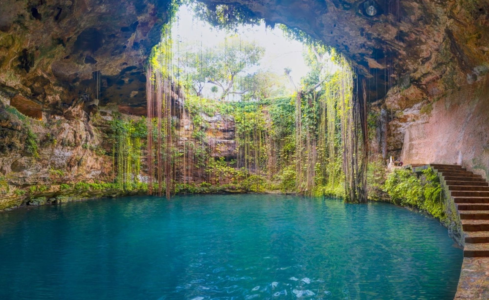 Cenote met helderblauw water en hangende lianen in een grot in Mexico.