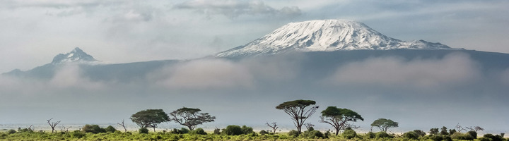 Besneeuwde top van de Kilimanjaro boven de savanne, ideaal voor rondreizen, groepsrondreizen en wandelvakanties.