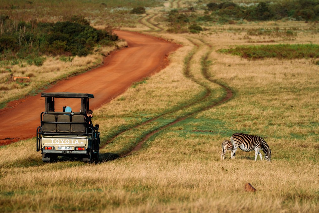 Safari-jeep op rode zandweg langs grazende zebra tijdens 22-35ers reis Zuid-Afrika.