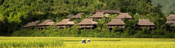 Rijstvelden en kalkstenen bergen in de vallei van Mai Chau, Vietnam.