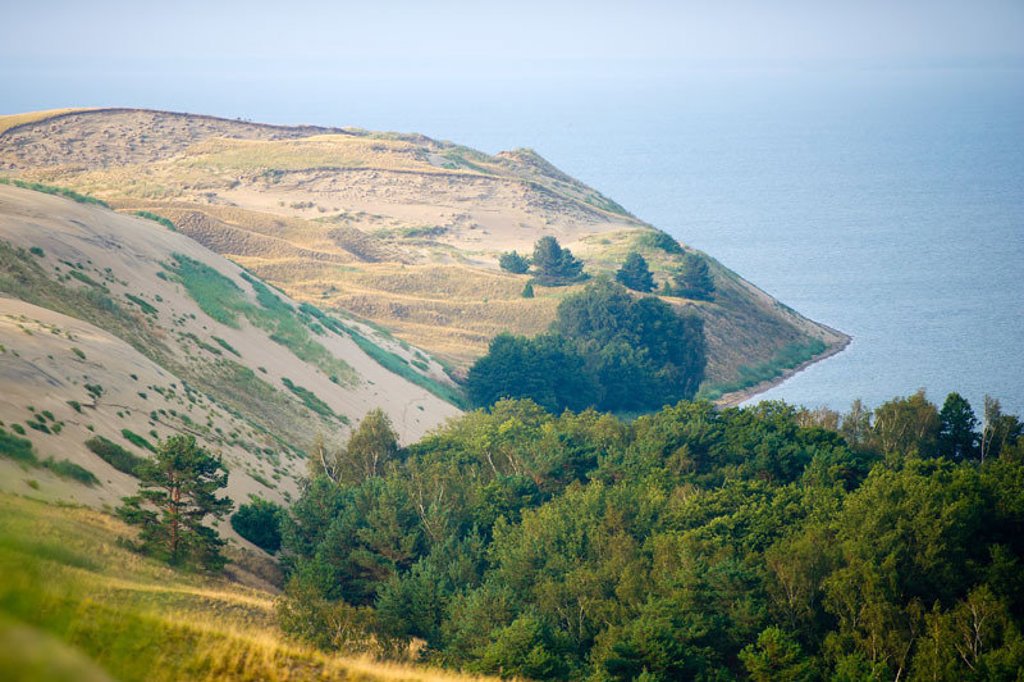 Duinen en groene bossen langs de Baltische kust tijdens een groepsrondreis door Estland, Letland en Litouwen.