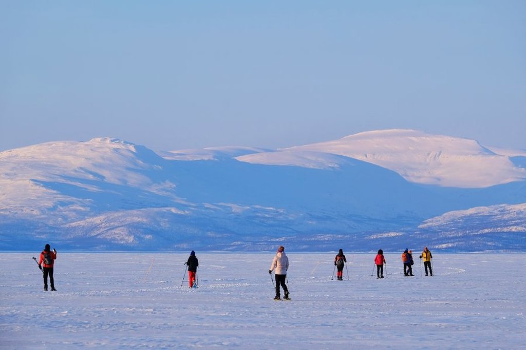 Groen gestreept vlak als placeholderafbeelding voor groepsrondreis Zweeds en Noors Lapland.