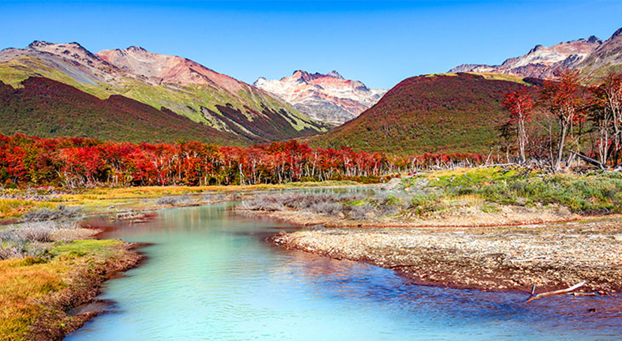 Rivier met turquoise water door herfstbos en bergen in Patagonië.