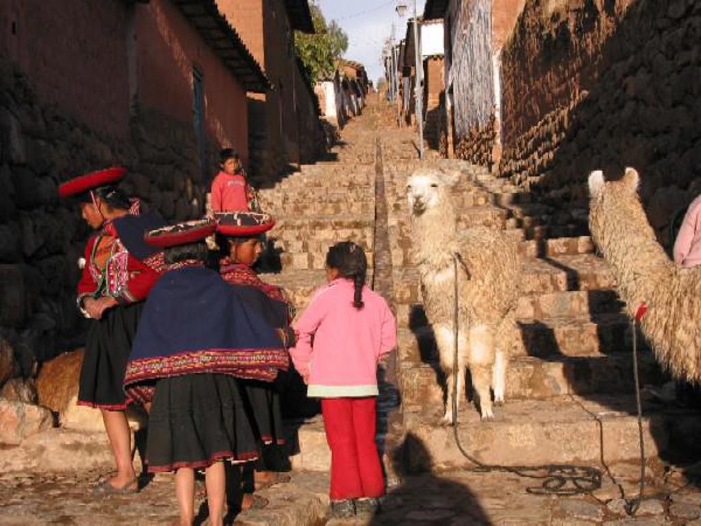 Kudde lama’s op de ruige hoogvlaktes van de Andes in Argentinië, Bolivia en Peru.