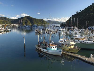 de haven