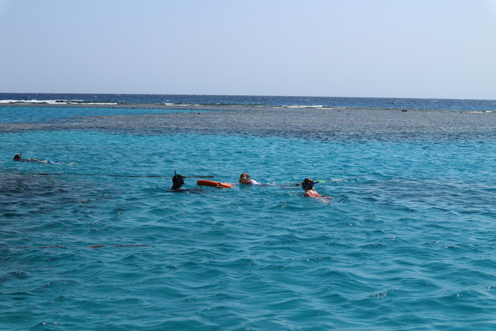 Snorkelaars in de Rode Zee bij Egypte tijdens een groepsrondreis.