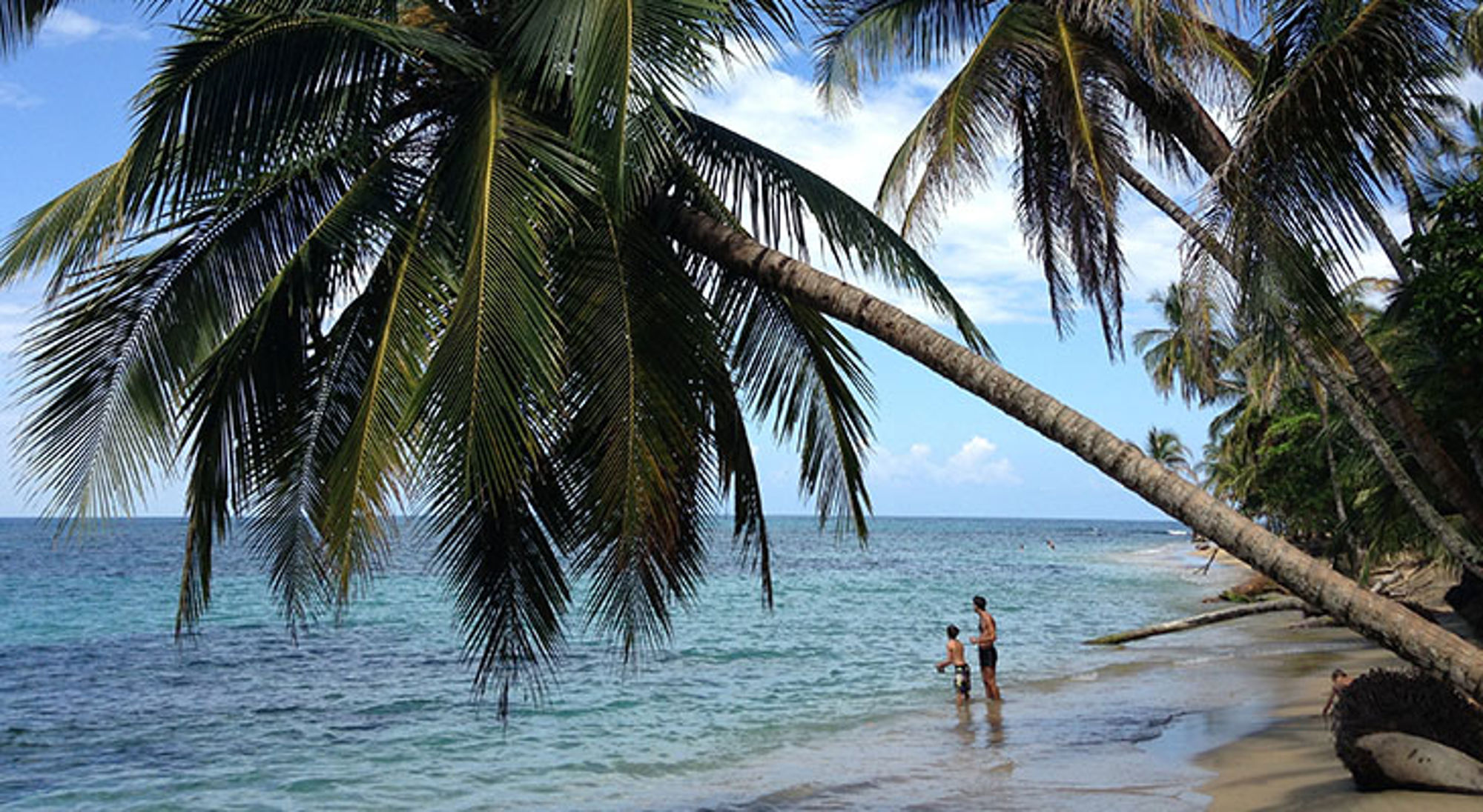 Strand van in Puerto Viejo de Talamanca Palmbomen langs een tropisch strand aan de kust van Costa Rica.