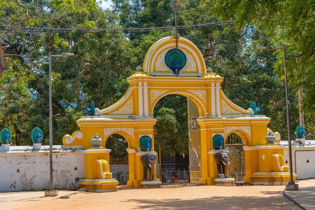 Fietser met helm op een smal pad door groene rijstvelden tijdens een fietsvakantie in Sri Lanka.