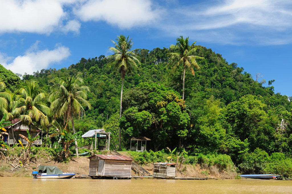 Rivierlandschap in Kalimantan met jungleheuvels, palmbomen en houten huizen langs de oever.