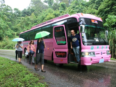 Reizigers stappen uit een roze bus tijdens Route Vietnam, met paraplu’s langs een groene weg in de regen.