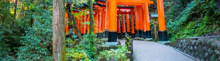 Rode torii-poorten langs het wandelpad bij Fushimi Inari Taisha in Kyoto, Japan.