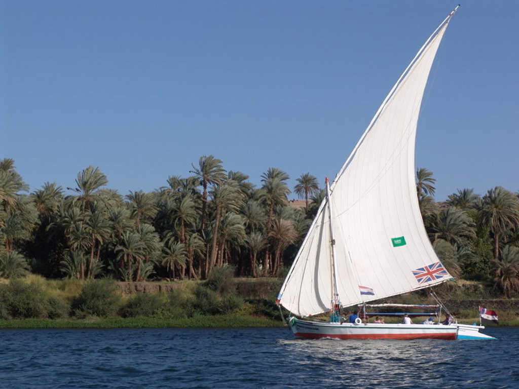 Felucca zeilboot op de Nijl langs palmbomen tijdens groepsrondreis Egypte kort.