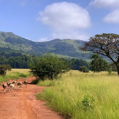 Baobabboom in savannelandschap tijdens groepsrondreis Noordelijk Zuid-Afrika en eSwatini.