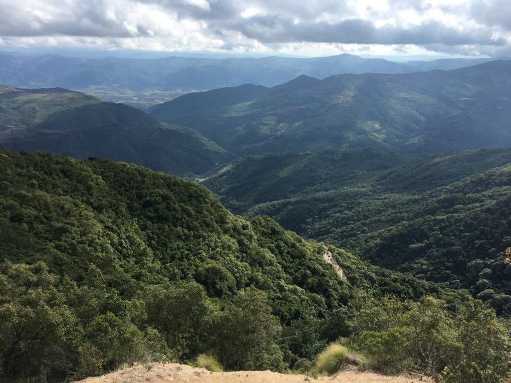 Groene bergvallei met nevel en wolken boven de Andes tijdens groepsrondreis Bolivia en Chili.