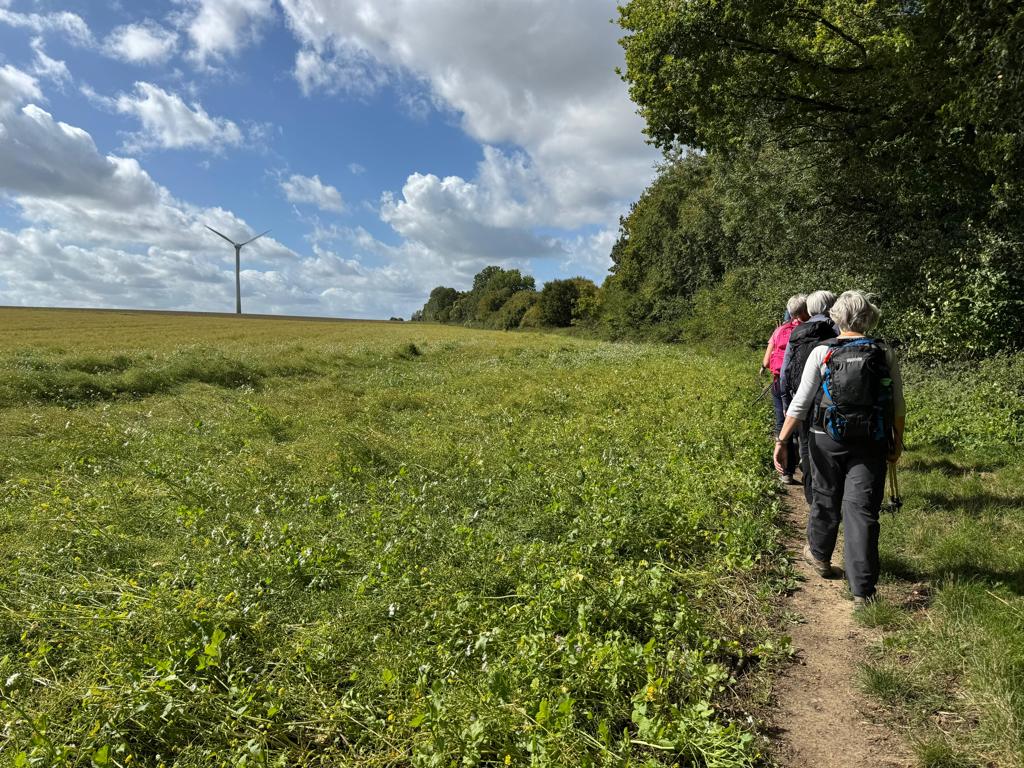 Wandelaars op een bergkam tijdens de Dutch Mountain Trail wandelvakantie.