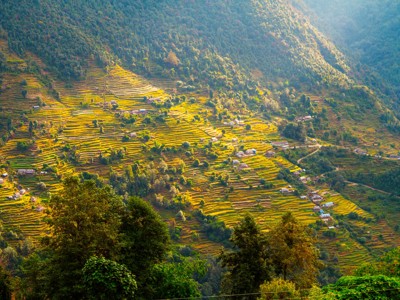 Groene heuvels met rijstterrassen en verspreide dorpjes langs de Route Nepal.