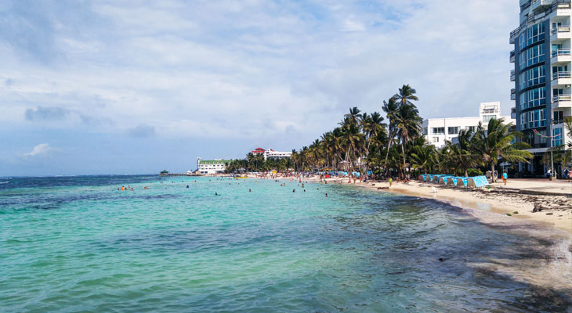 Strand met palmbomen en helderblauw zeewater op San Andrés, Colombia.
