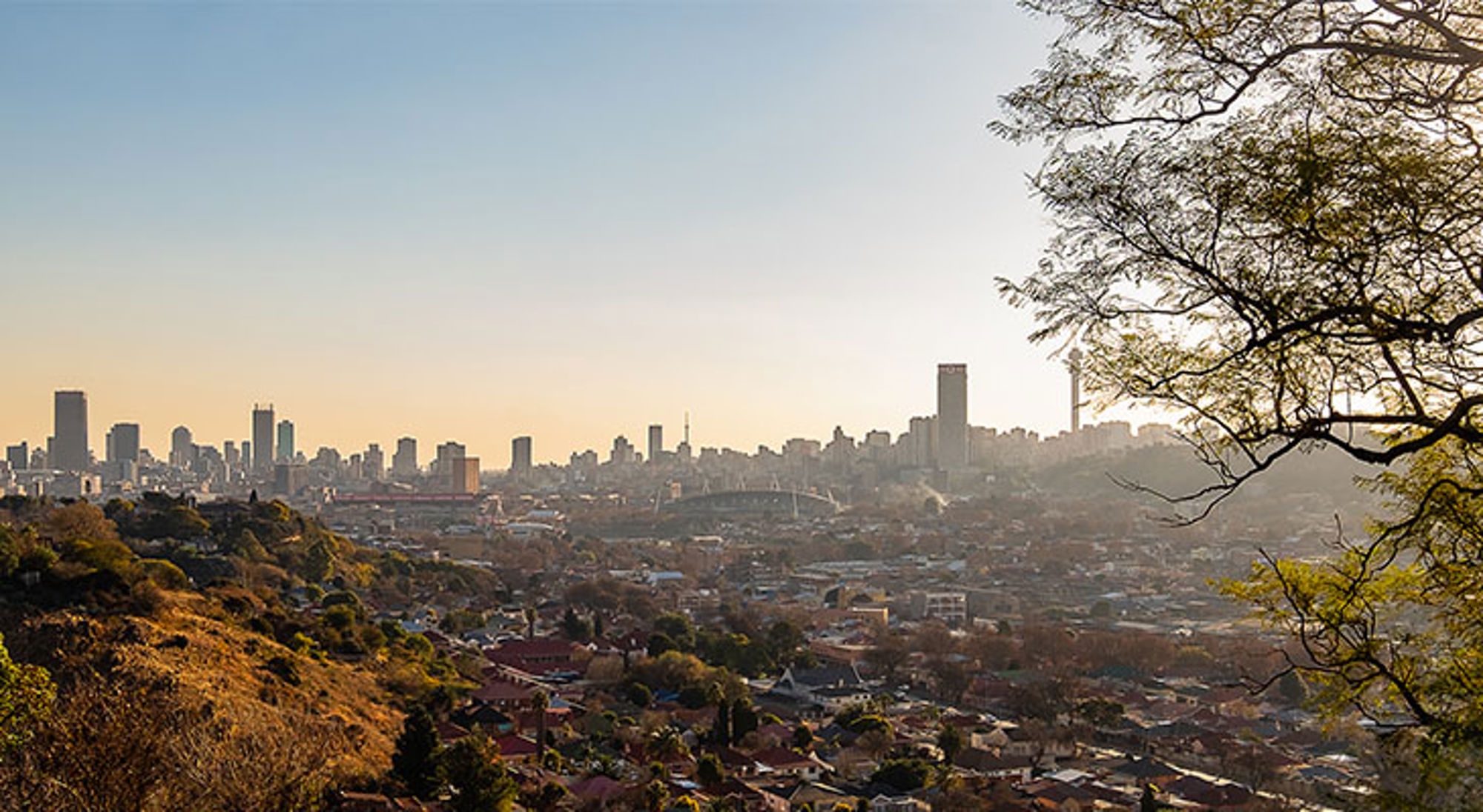 Uitzicht op de skyline van Johannesburg bij zonsondergang, gezien vanaf een heuvel met bomen op de voorgrond.