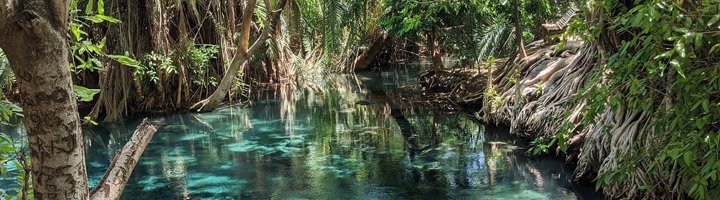 Palmbomen langs het helderblauwe water van Kikuletwa Hot Springs in Tanzania.