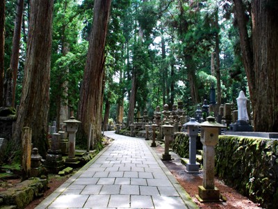 Pad door Okunoin-begraafplaats in Koyasan, Japan, met hoge cederbomen en stenen lantaarns.
