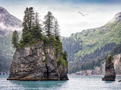 Rotsformaties met dennen in de baai van Kenai Fjords, Alaska, met groene bergen op de achtergrond.