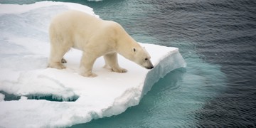 Groepsrondreis Spitsbergen 8, 11 of 15 dagen