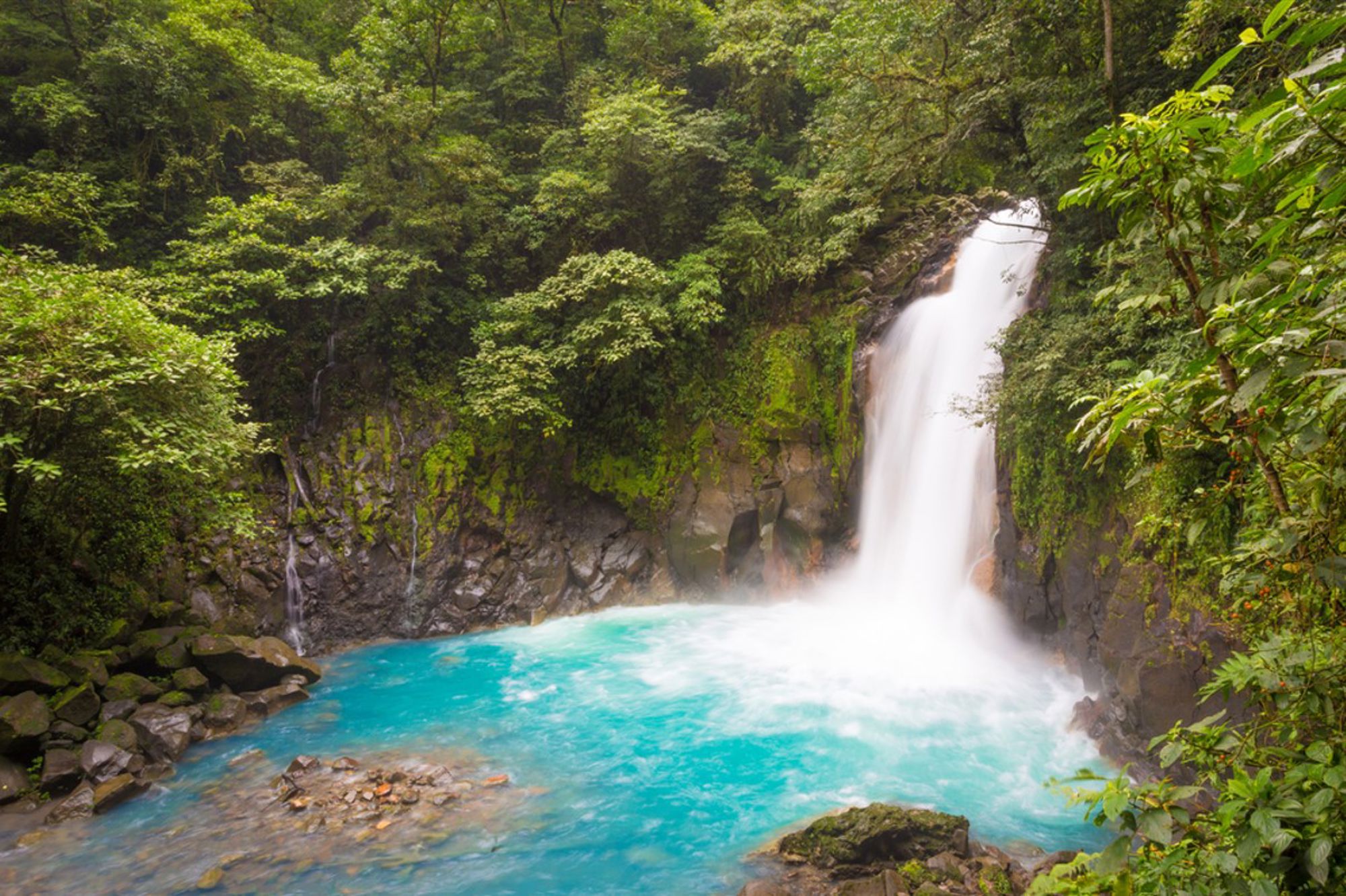 Waterval in het regenwoud van Costa Rica met een helderblauw bassin.