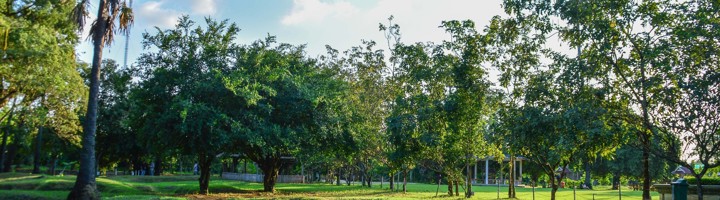 Groene velden met bomen en kuilen bij de Killing Fields in Cambodja.