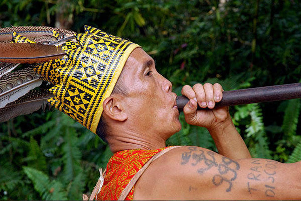 Dayak-man in Kalimantan met traditionele hoofdtooi en blaaspijp in het regenwoud.