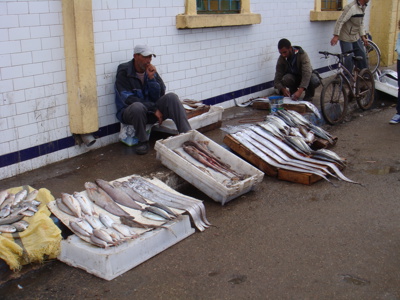 Vismarkt in Marokko met vissers en vers gevangen vis uitgestald op bakken langs de muur.