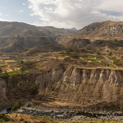 Terrasvormige akkers in de Colca Canyon met bergen op de achtergrond, Peru.